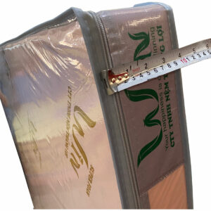 Nệm Win Thắng Lợi 1m6 x 2m x 10cm