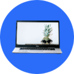 Computer & Laptop