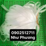 Túi lưới bọc hoa cúc ( nhựa pe)