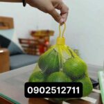 Túi lưới bọc bưởi, chanh, tỏi, trái cây ( nhựa pe)