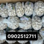Túi lưới bọc bưởi, chanh, tỏi, trái cây ( nhựa pe)